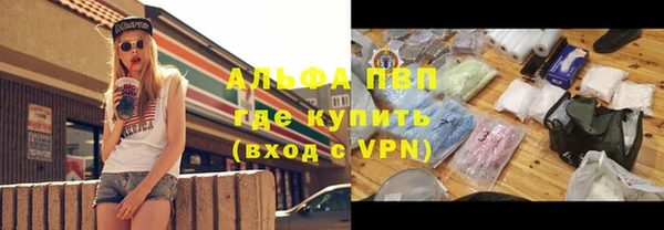 стафф Зерноград
