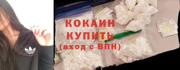 шишки Заволжье