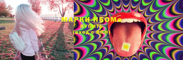 шишки Заволжье