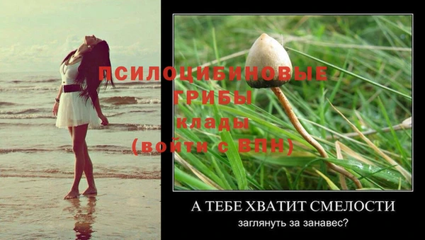 кокаин VHQ Заводоуковск
