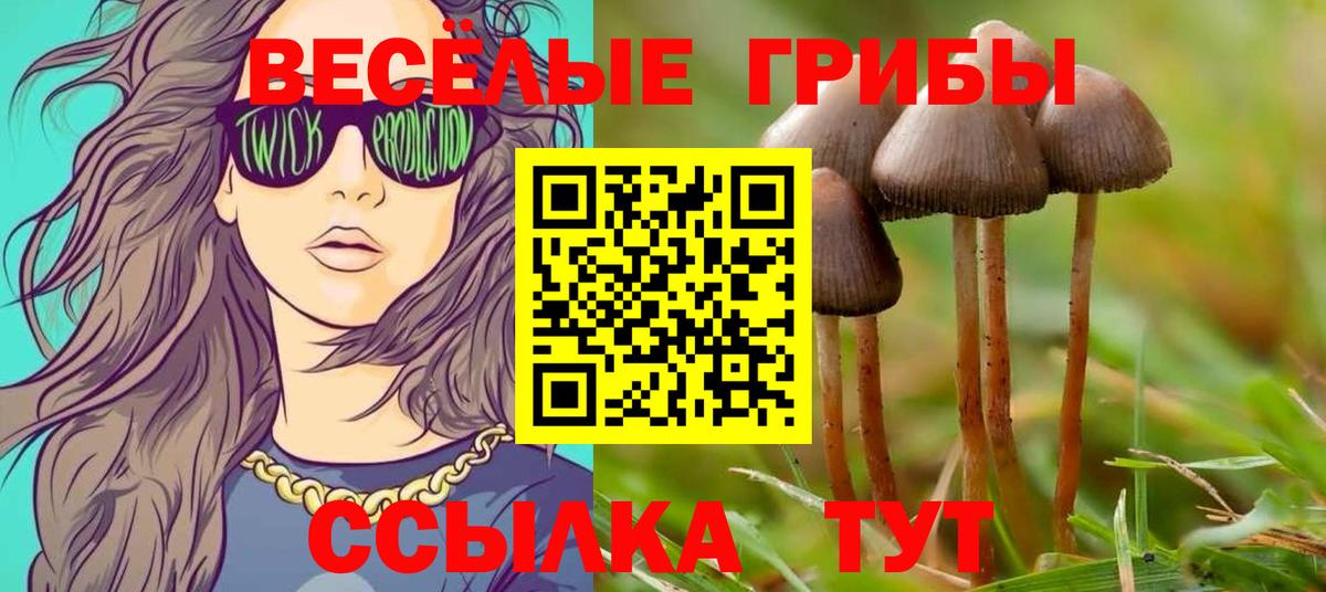 Мефедрон кристаллы  ГАШИШ  А ПВП СК   Пыть-Ях  Кодеин  Марихуана  Наркошоп  Вход с VPN 