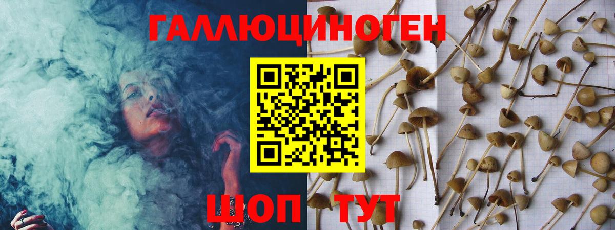 Псилоцибиновые грибы Magic Shrooms  Пыть-Ях 